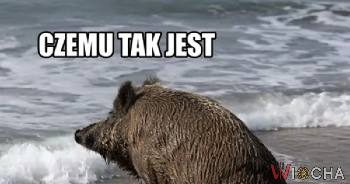 Kto tu się starzeje? Na pewno nie ja