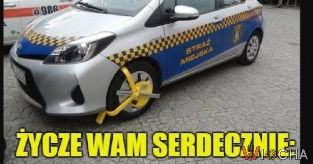 Jeśli czujesz się niepotrzebny, pomyśl o Strażnikach Miejskich !