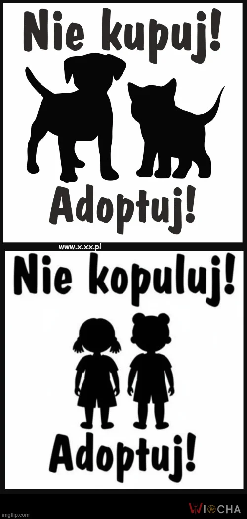 Tak sobie przeglądam naklejki na portalu aukcyjnym...