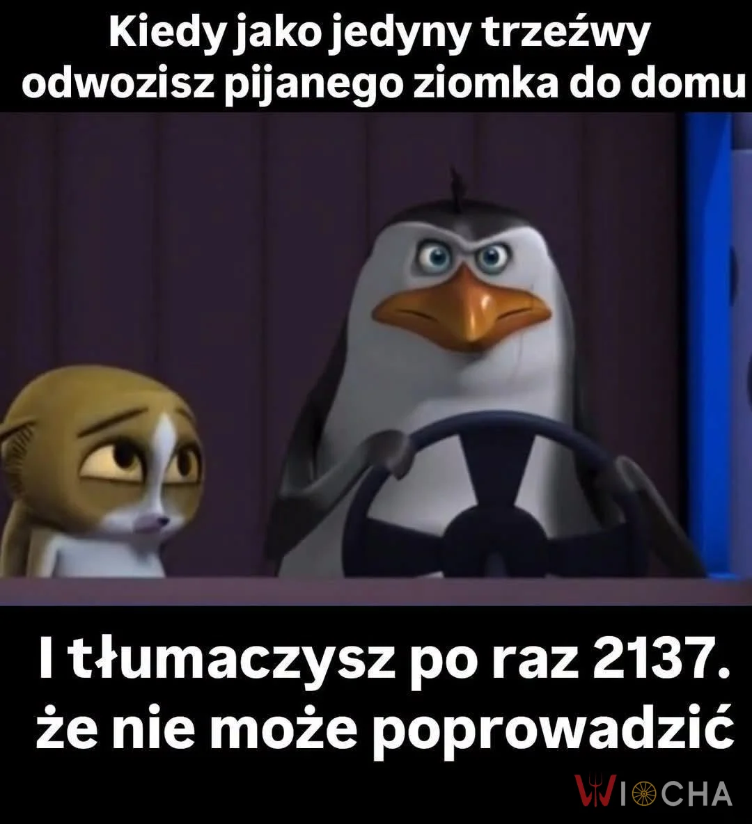 Trzeźwy kierowca i pijany pasażer