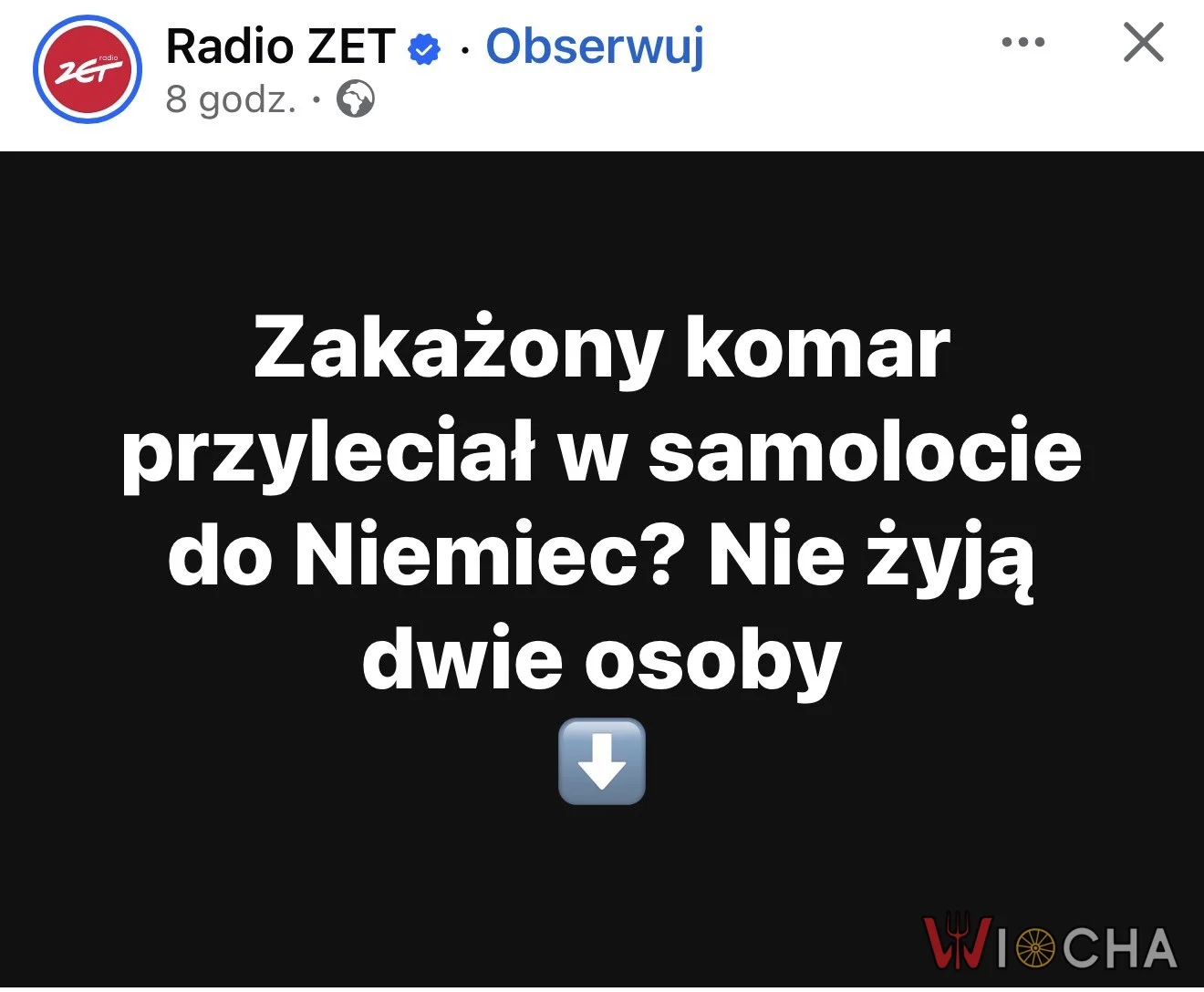 Komar z Niemiec