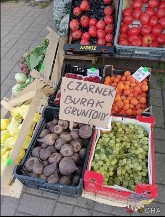 Nowa odmiana buraka - Czarnek?