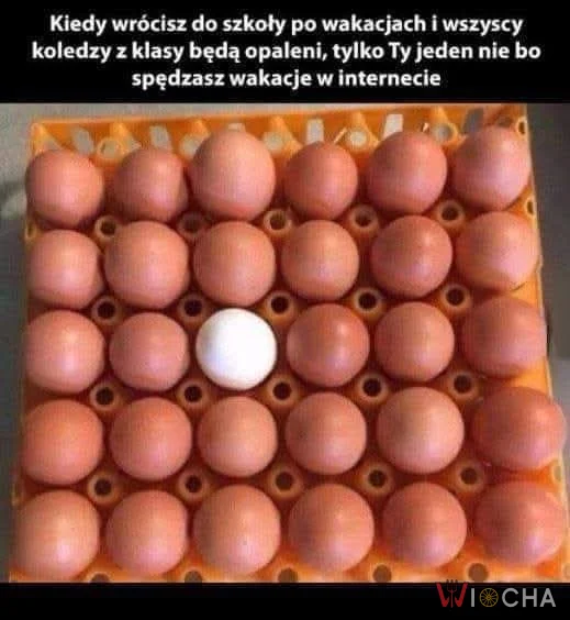 Odosobniony całe wakacje