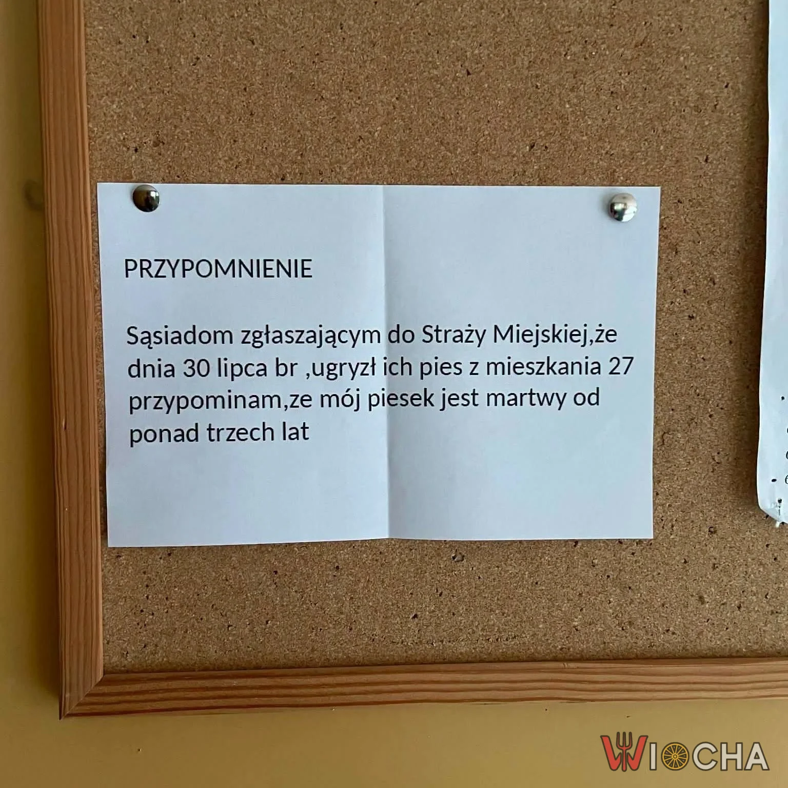 Pies nie żyje od ponad 3 lat