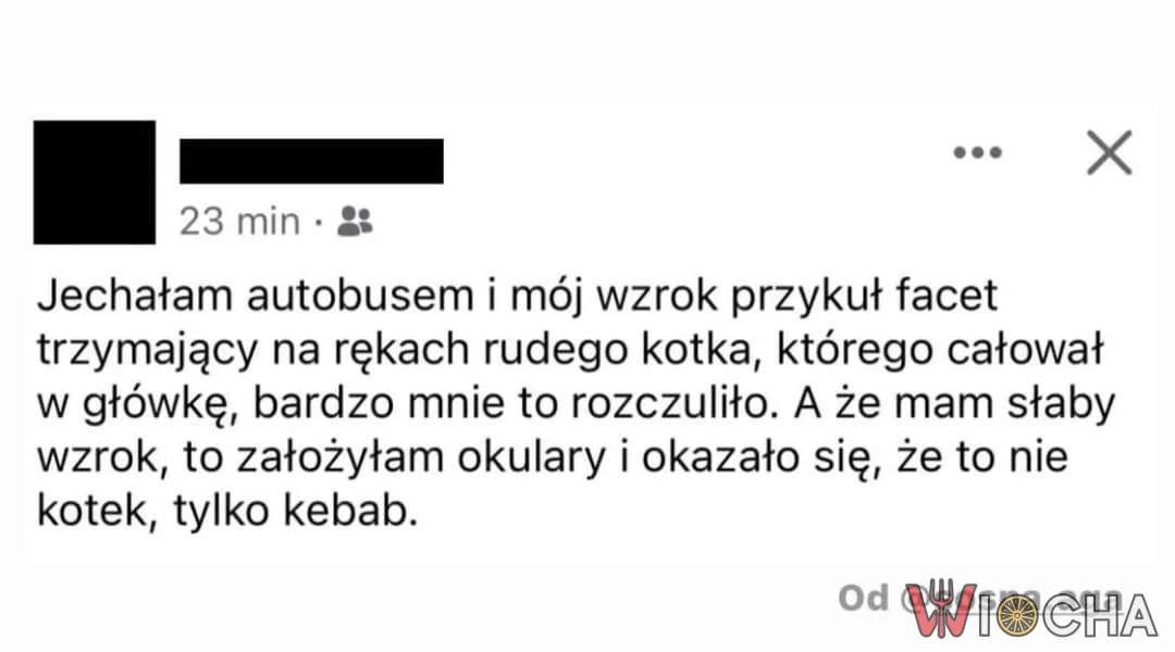 To nie był kotek, tylko kebab