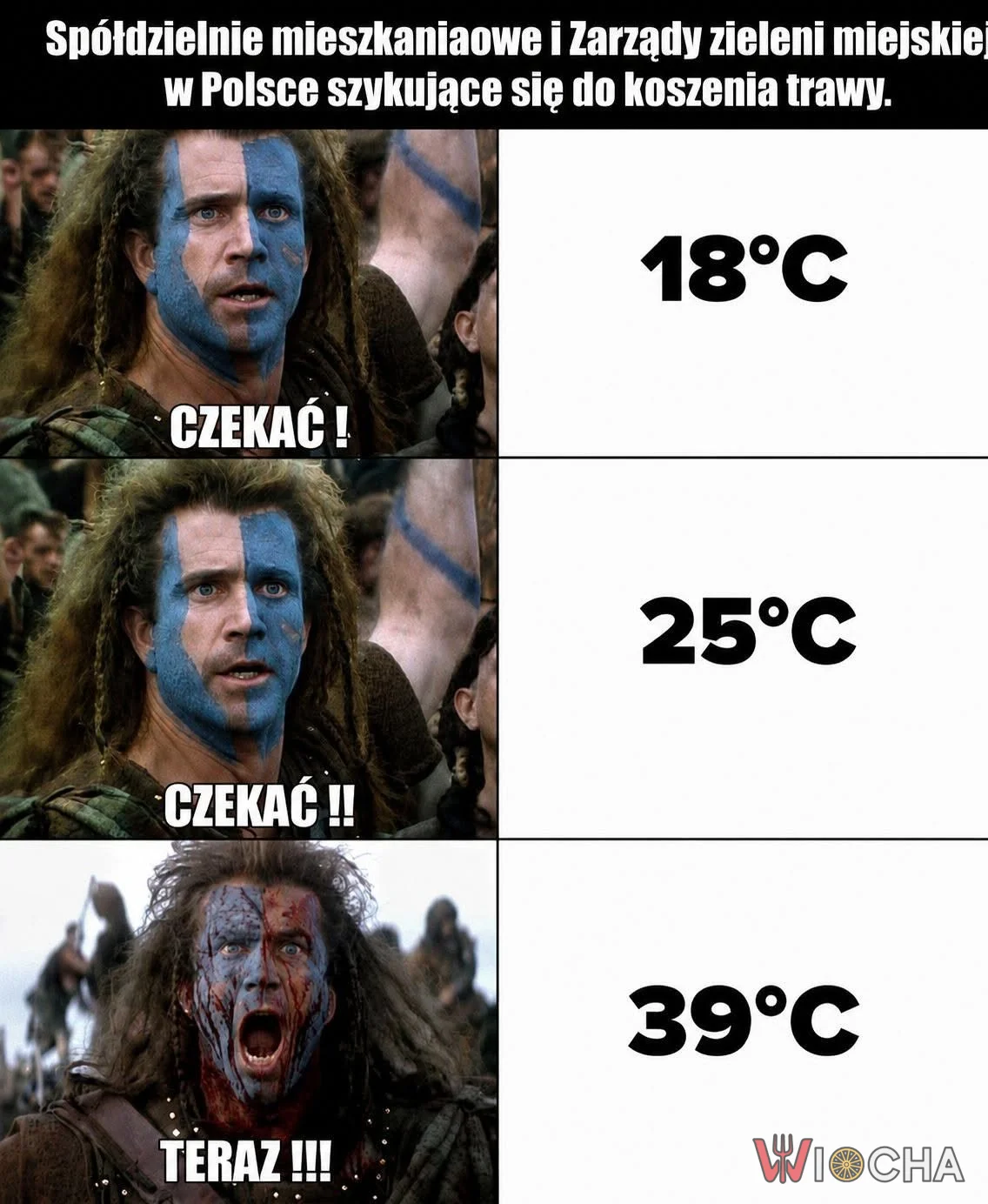 Teraz jest idealny moment