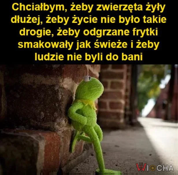 Problemy, problemy...