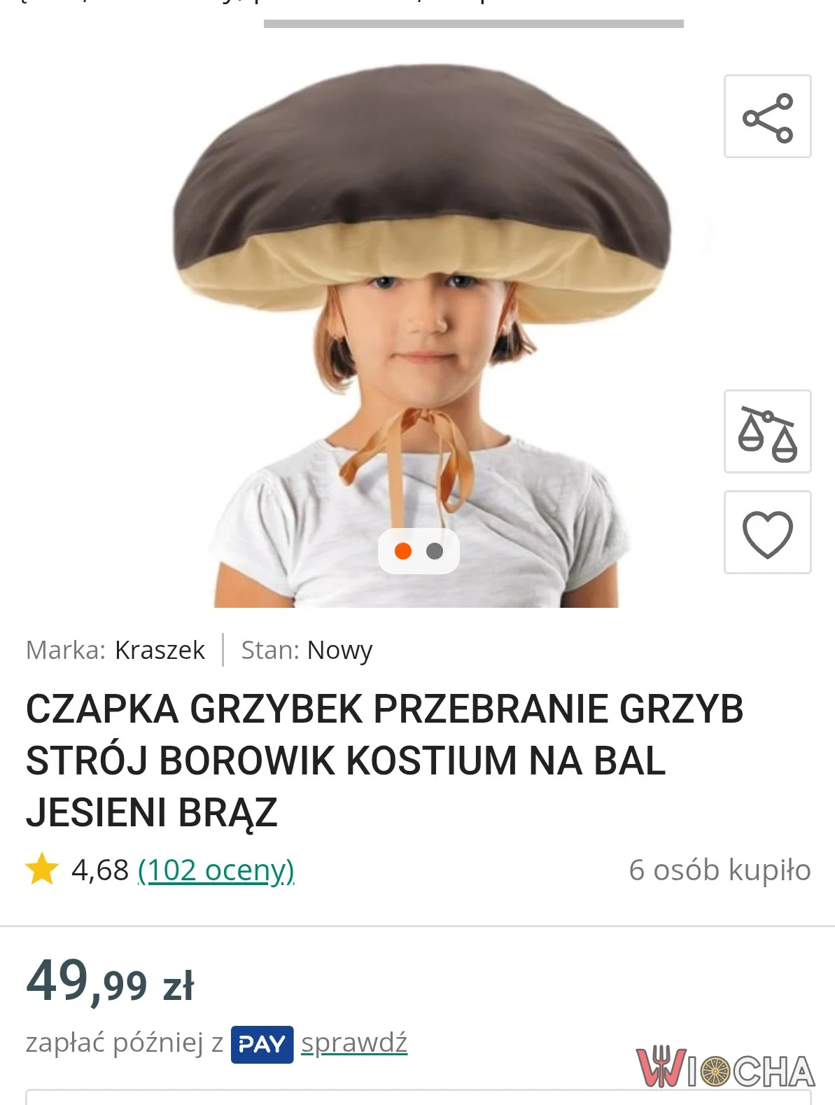 Kiedy grzyby zaczynają być nakryciem głowy