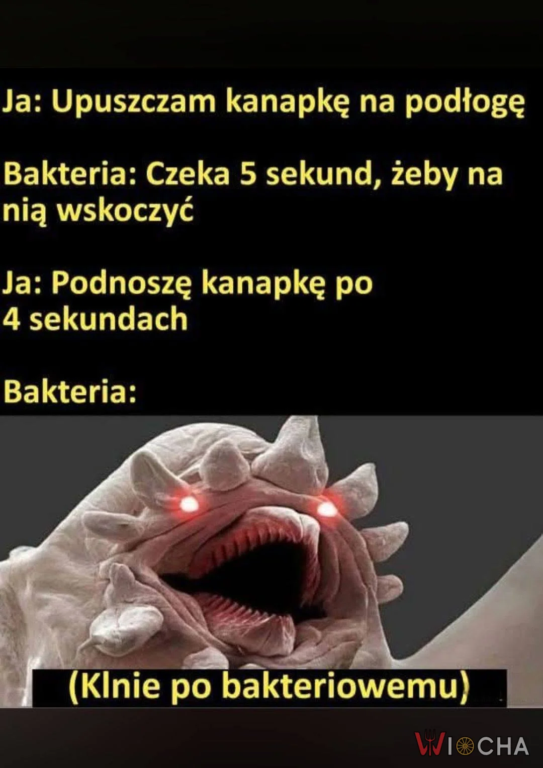 Bakterie nie w humorze