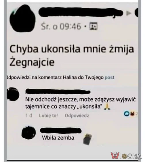 Klasyczek internetowy zawsze bawi