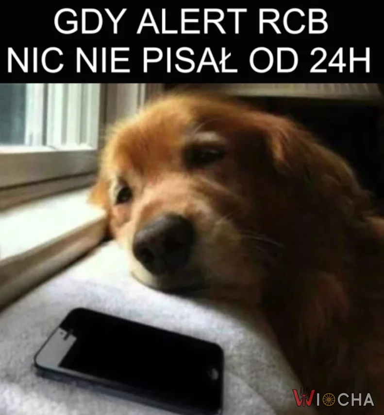 Cisza przed burzą?