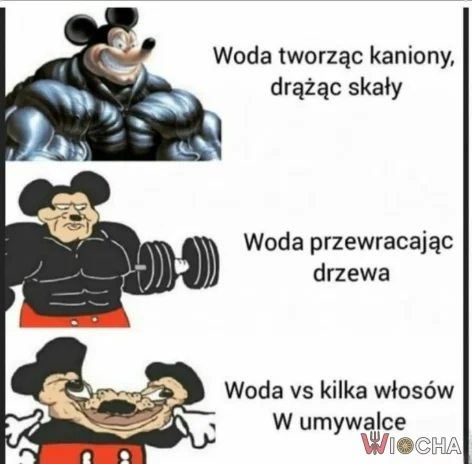 Siła wody w trzech odsłonach