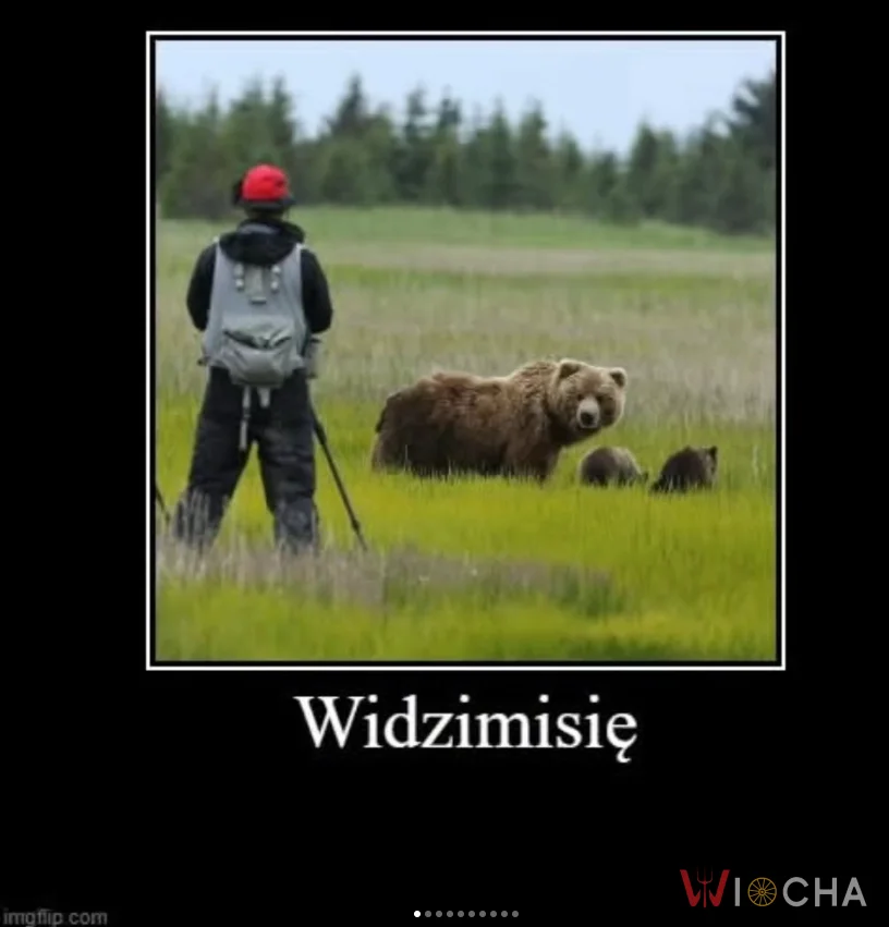 Są to tzw. widzimisie