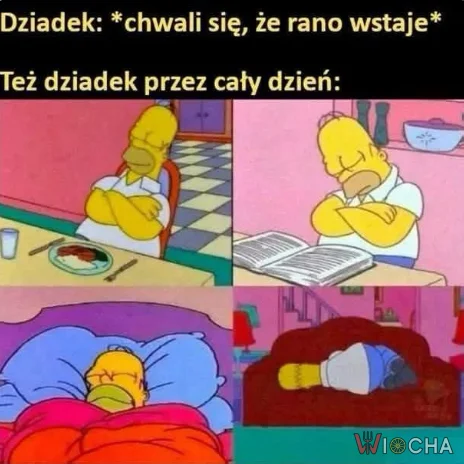 Mistrzowie rutyny