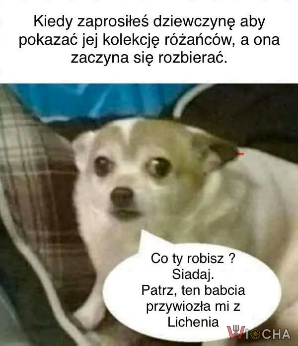 Ale co ty robisz?