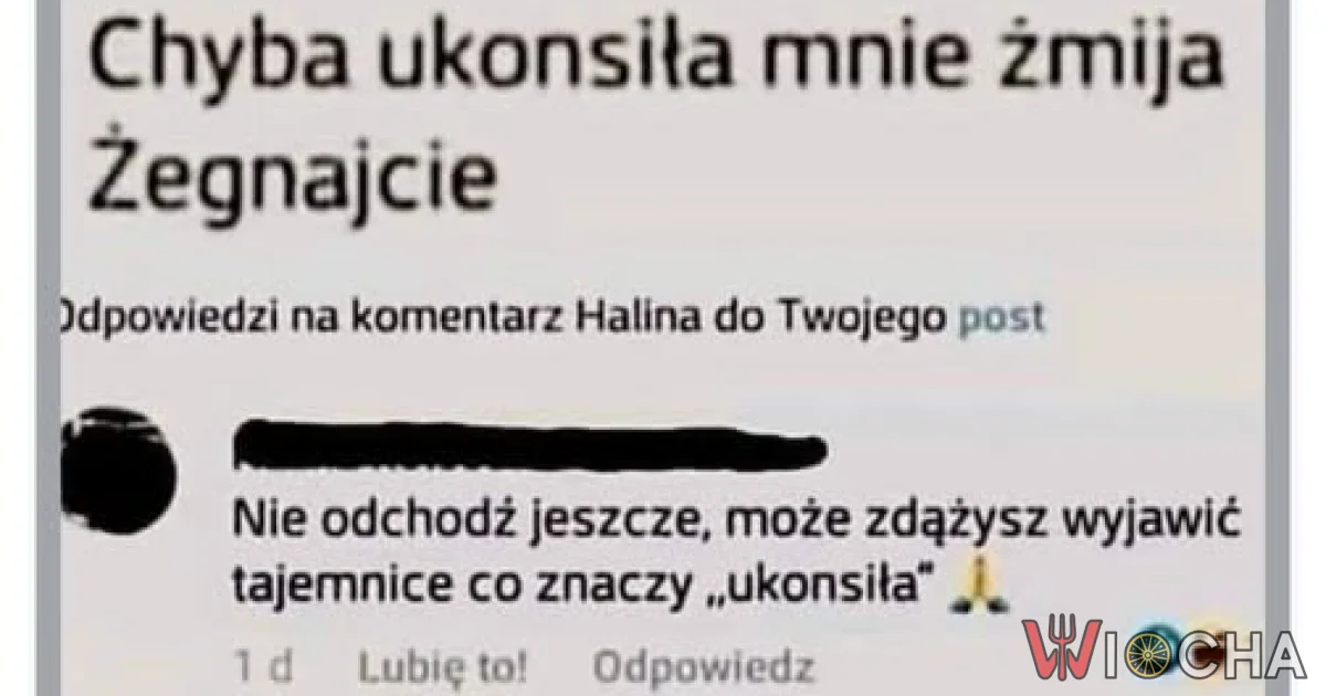 Klasyczek internetowy zawsze bawi