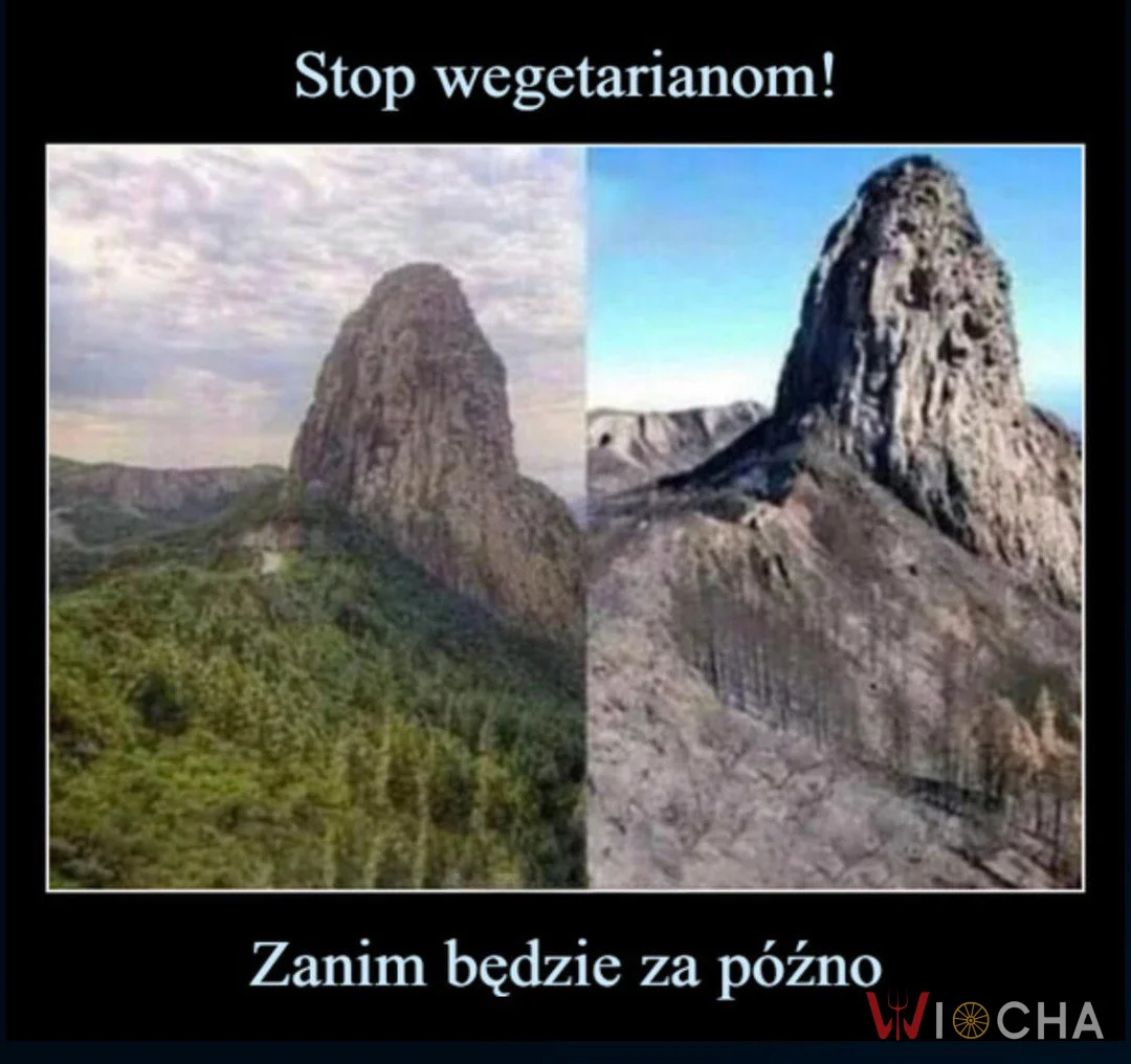 Weganie i wegetarianie w tarapatach