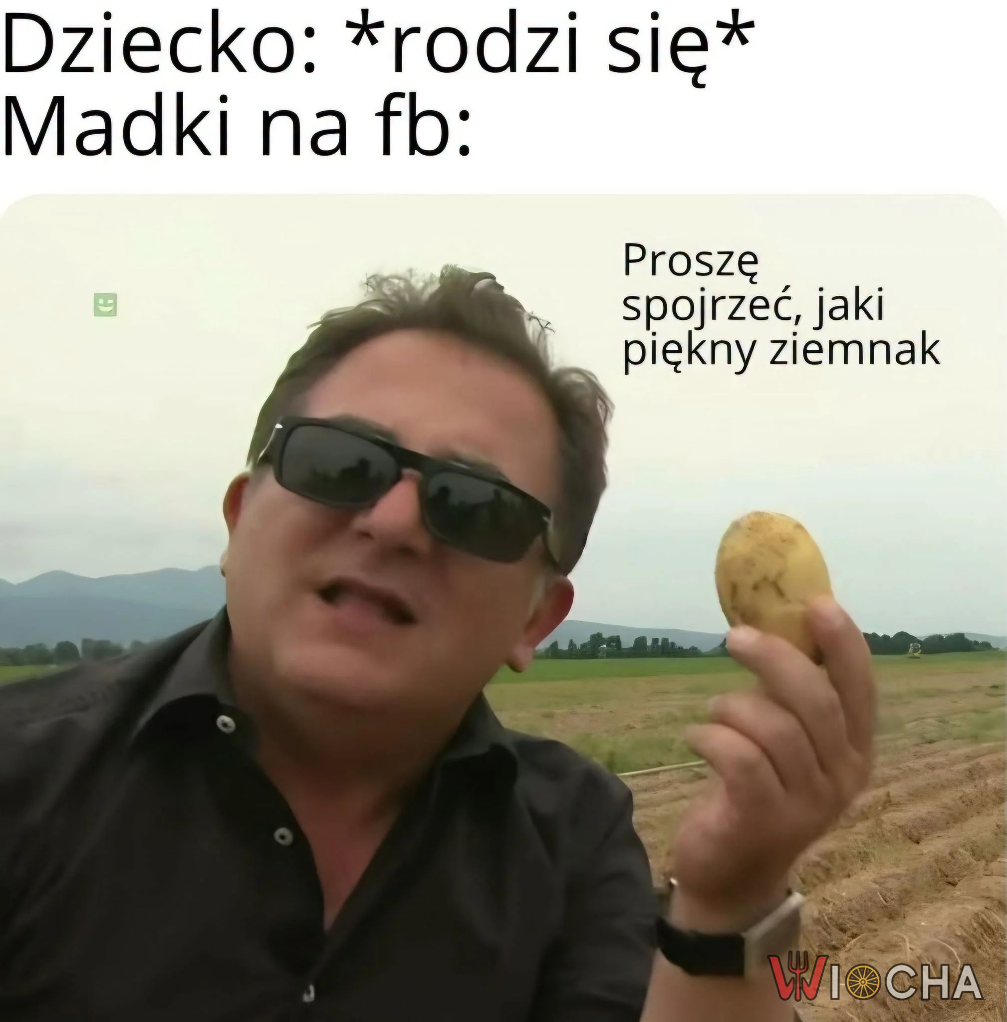 Proszę podziwiać