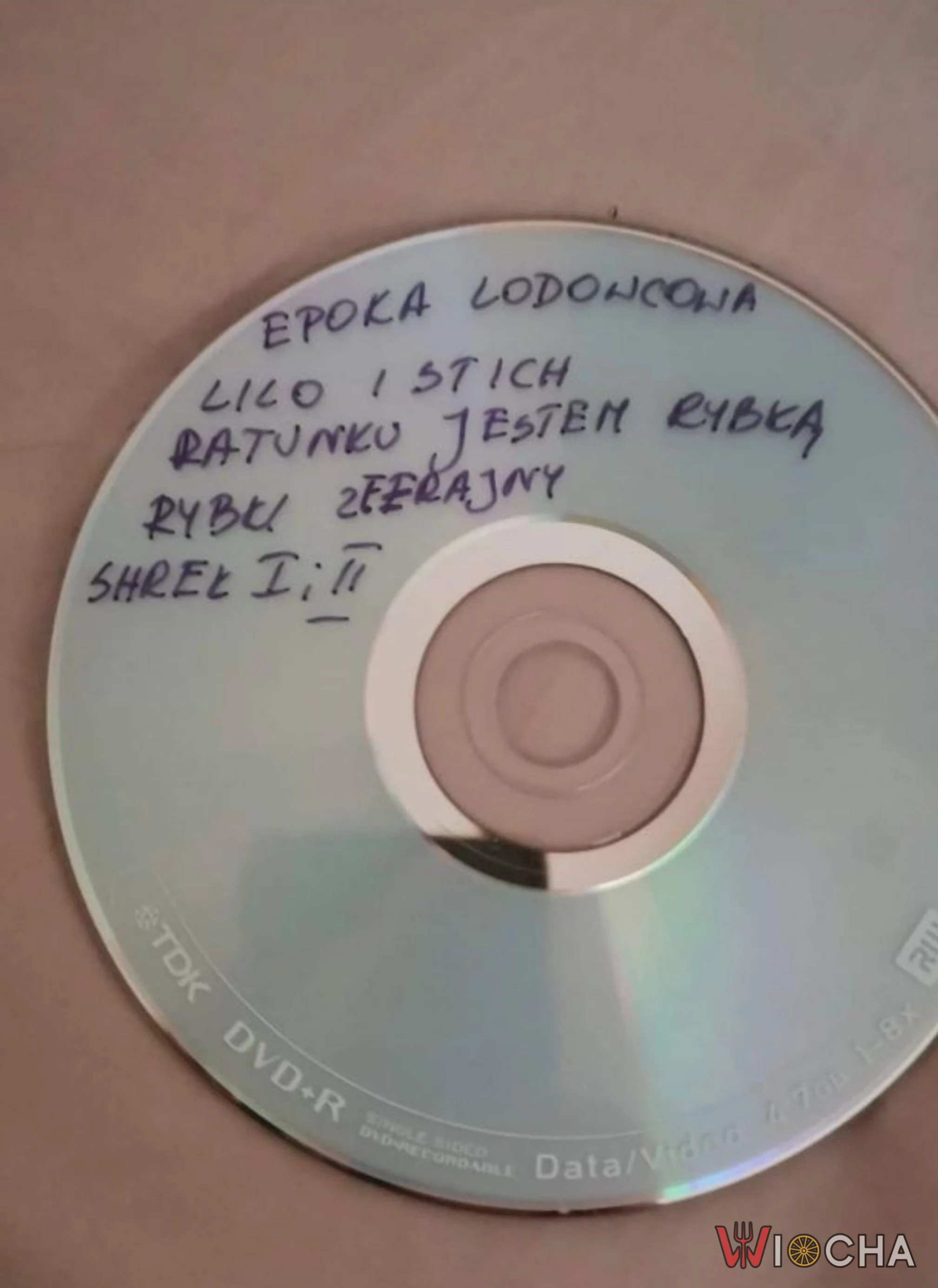 Całe dzieciństwo na jednej płycie