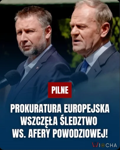 Niedojdy nawet ukraść nie potrafią żeby nie narobić wstydu na całą Europę. Kolejny już raz