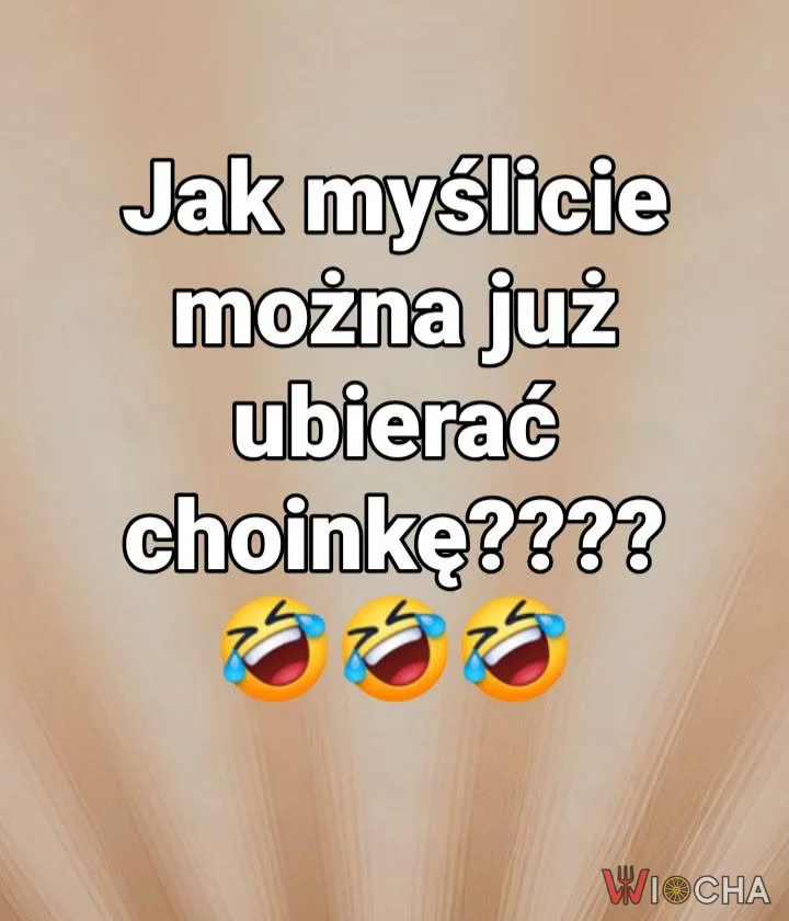 Czas na choinkę?
