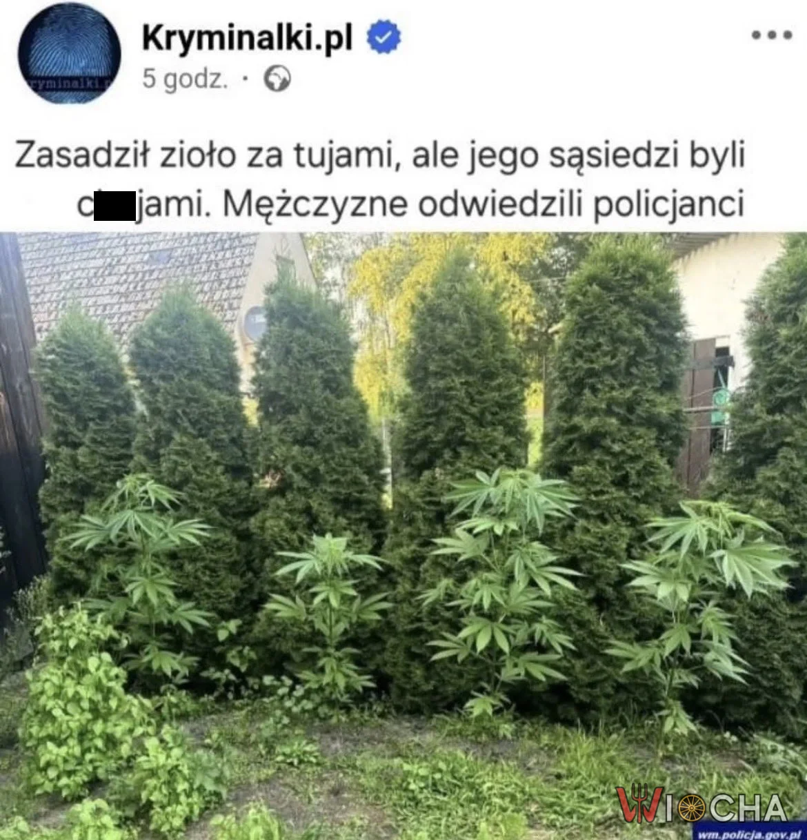 Sąsiedzka przygoda