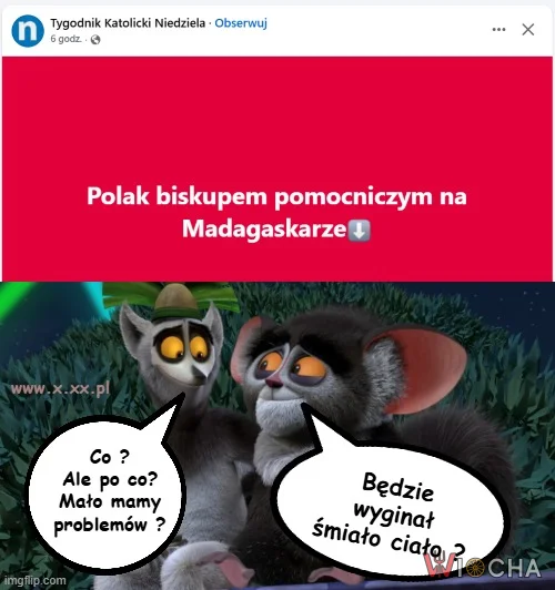 Proponuję wysłać tam wszystkich "biszkoptów" .