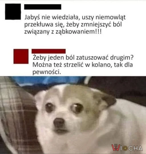 Jeden ból zastąp drugim
