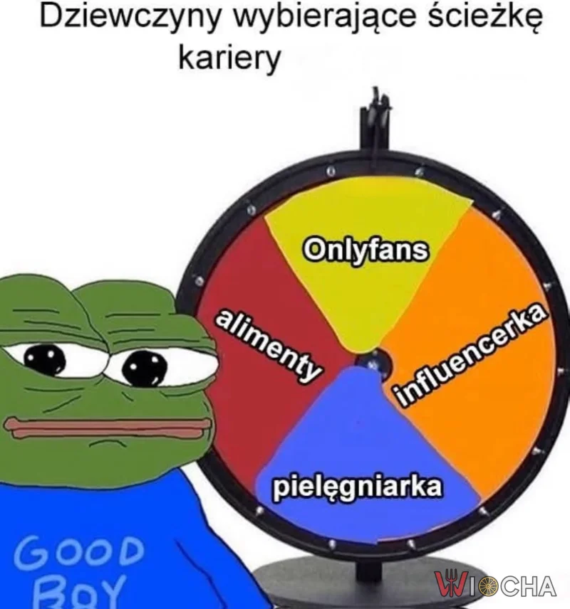 Koło kariery