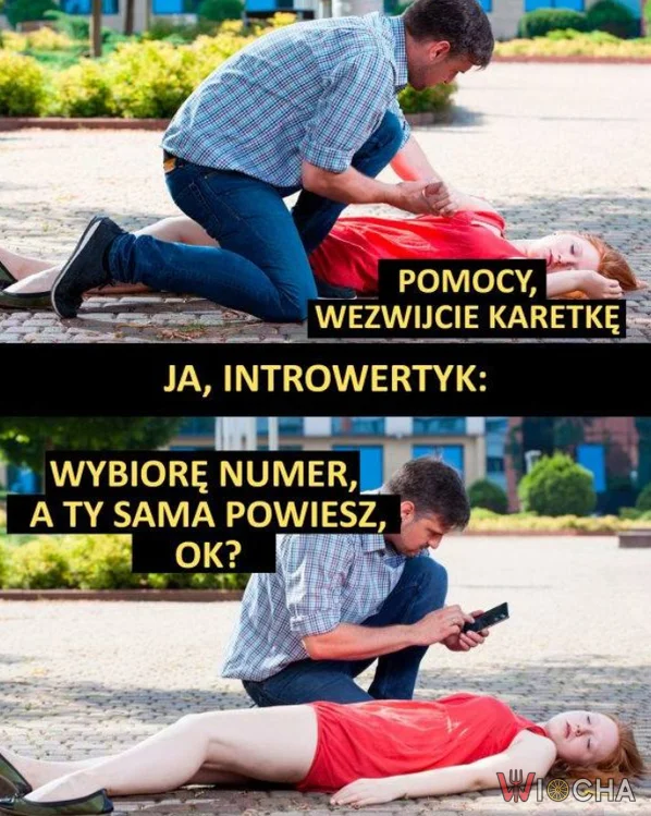 Jak żyje Introwertyk?