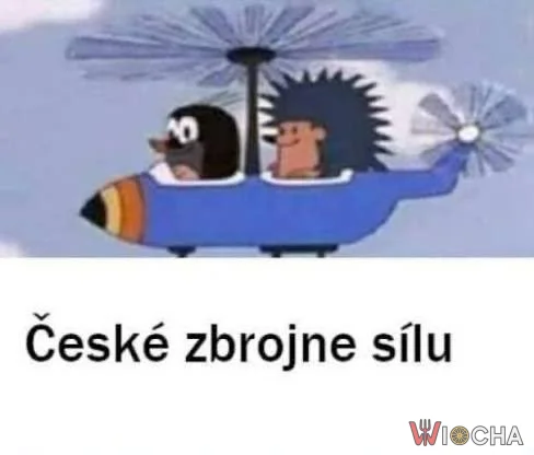 Czeskie siły zbrojne