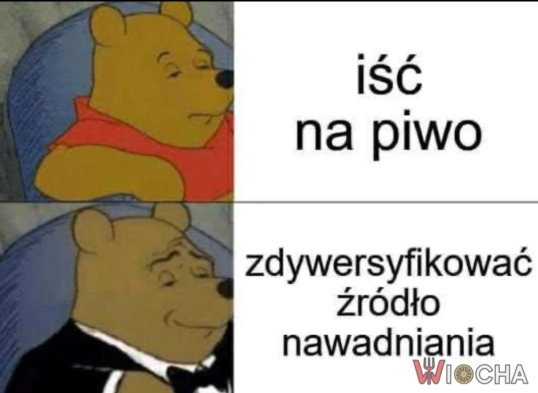 Kiedy planujesz wyjście na piwo