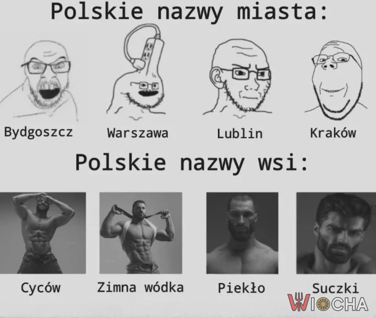 Moc polskich wsi
