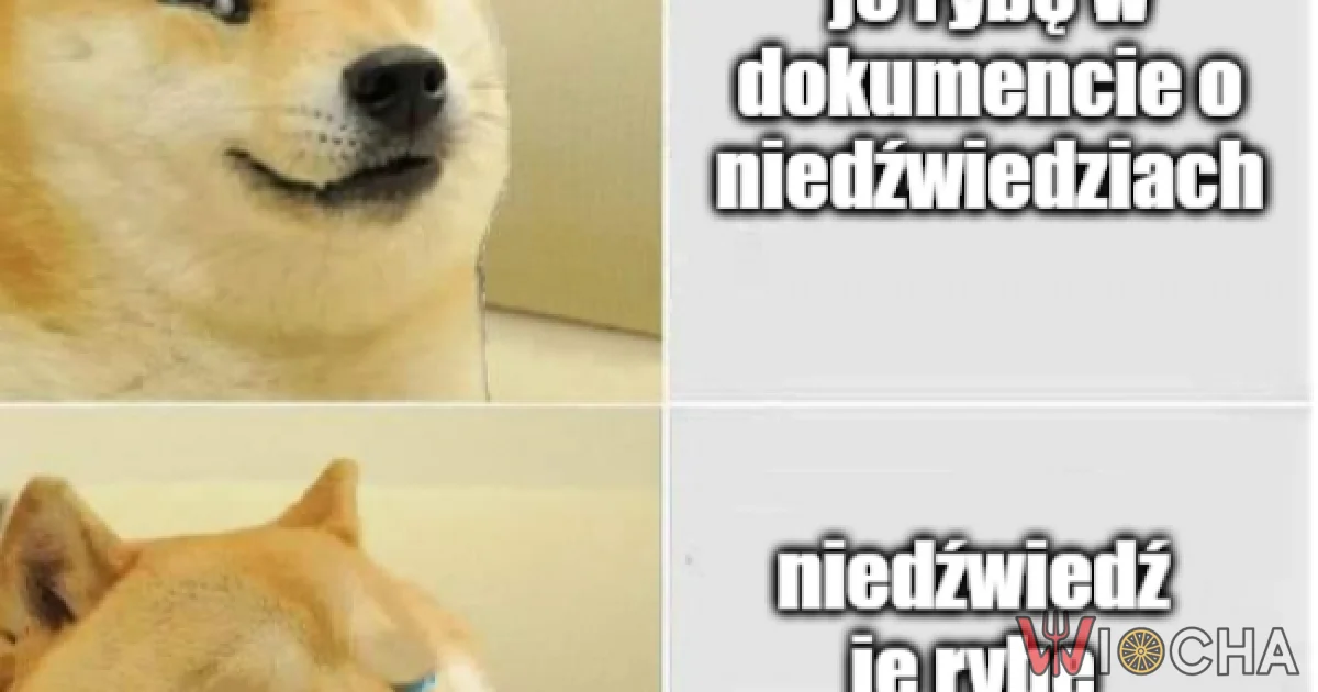 Dlatego nie lubię oglądać dokumentów przyrodniczych