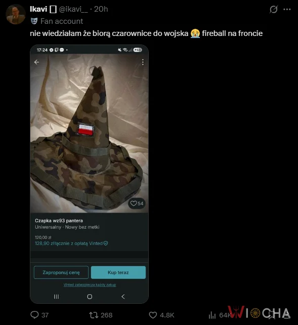 Jaki to dom w Hogwarcie?