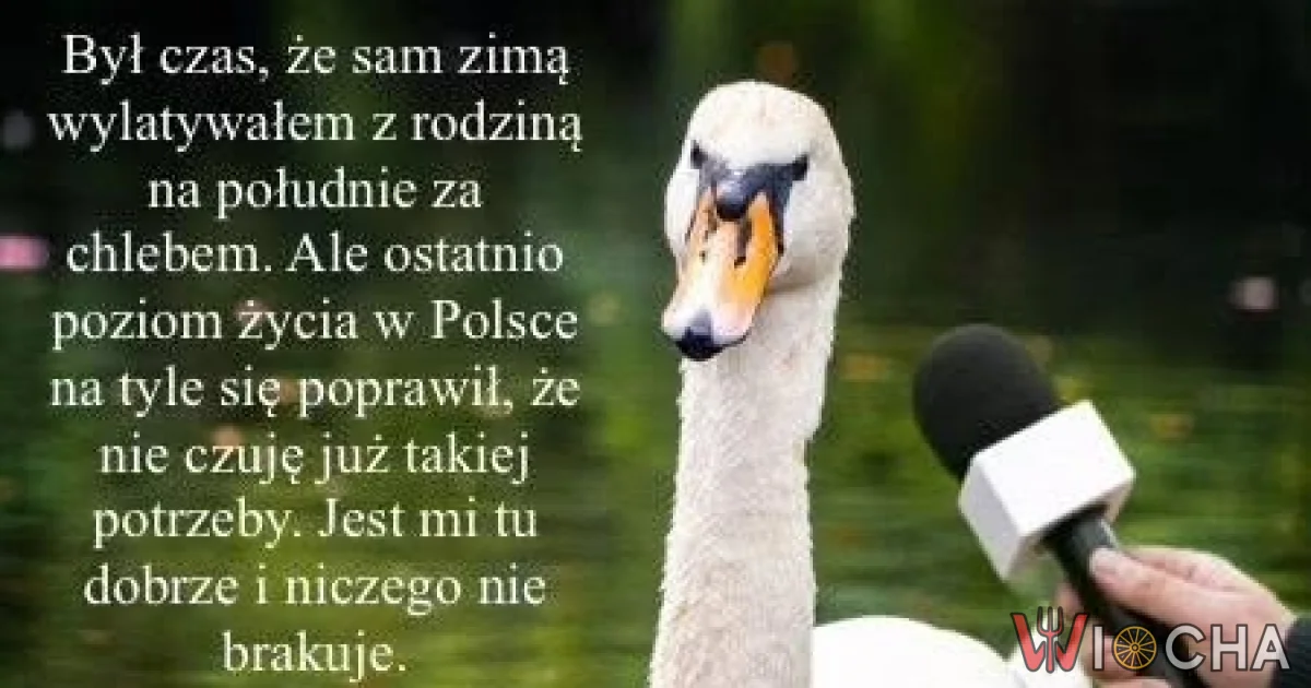 W końcu znalazłem ziemię obiecaną