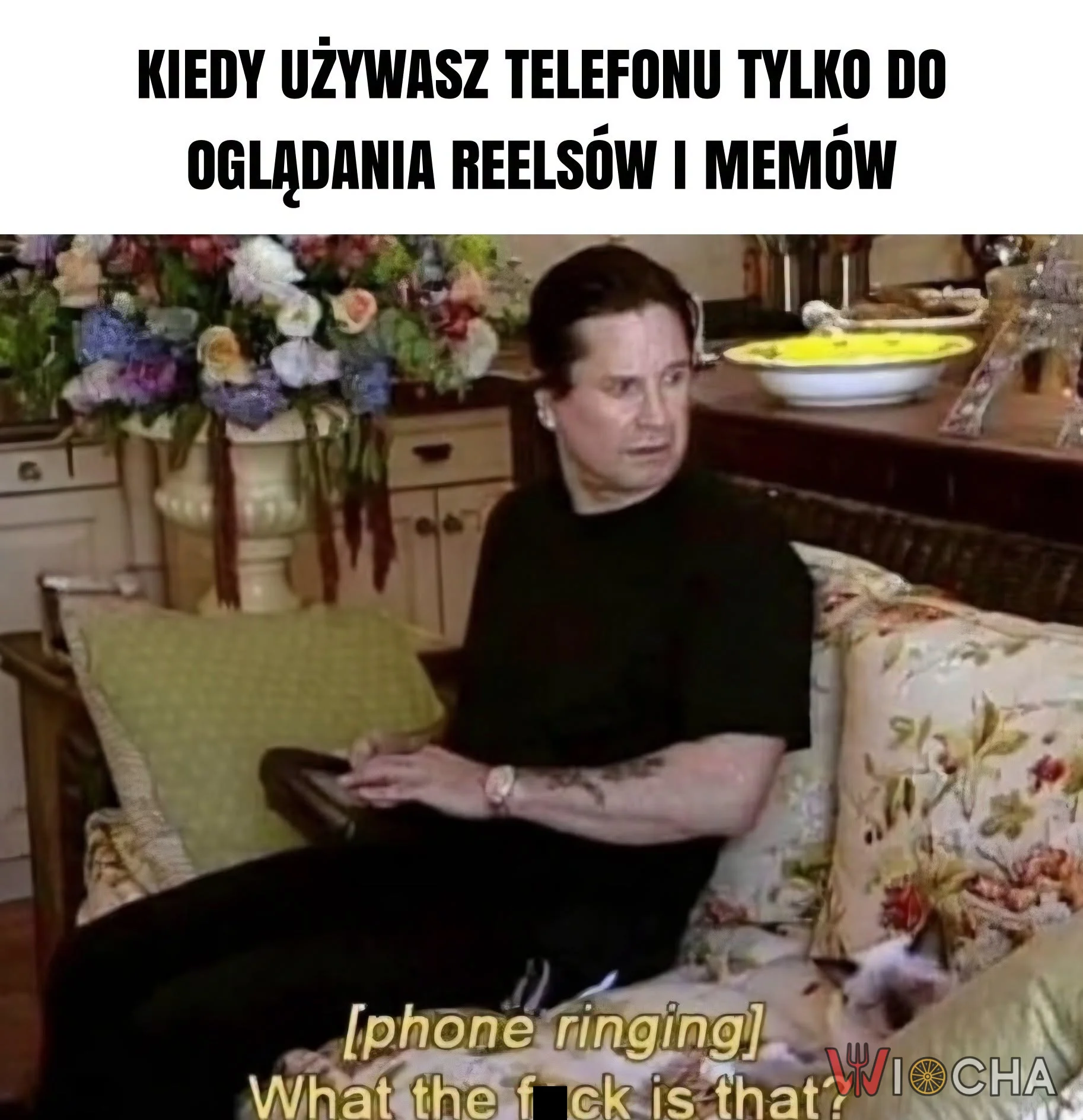 Co to za dźwięk?