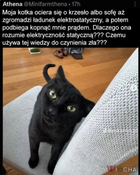 Kocia nauka prądu