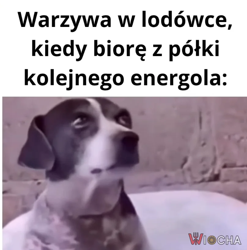 Kiedy w lodówce zostały tylko warzywa