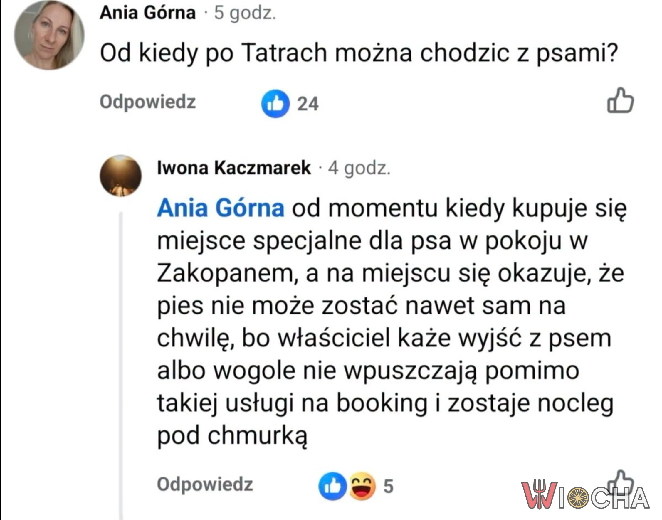 Pies w Zakopanem? Tylko z odpowiednim pokojem!