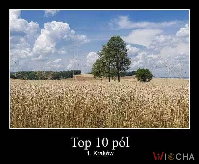 Najlepsze pola w Polsce