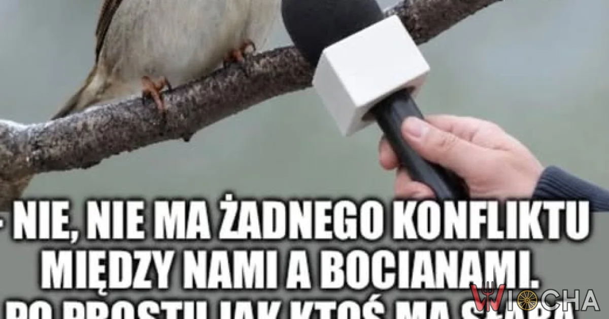 Turysta j**any