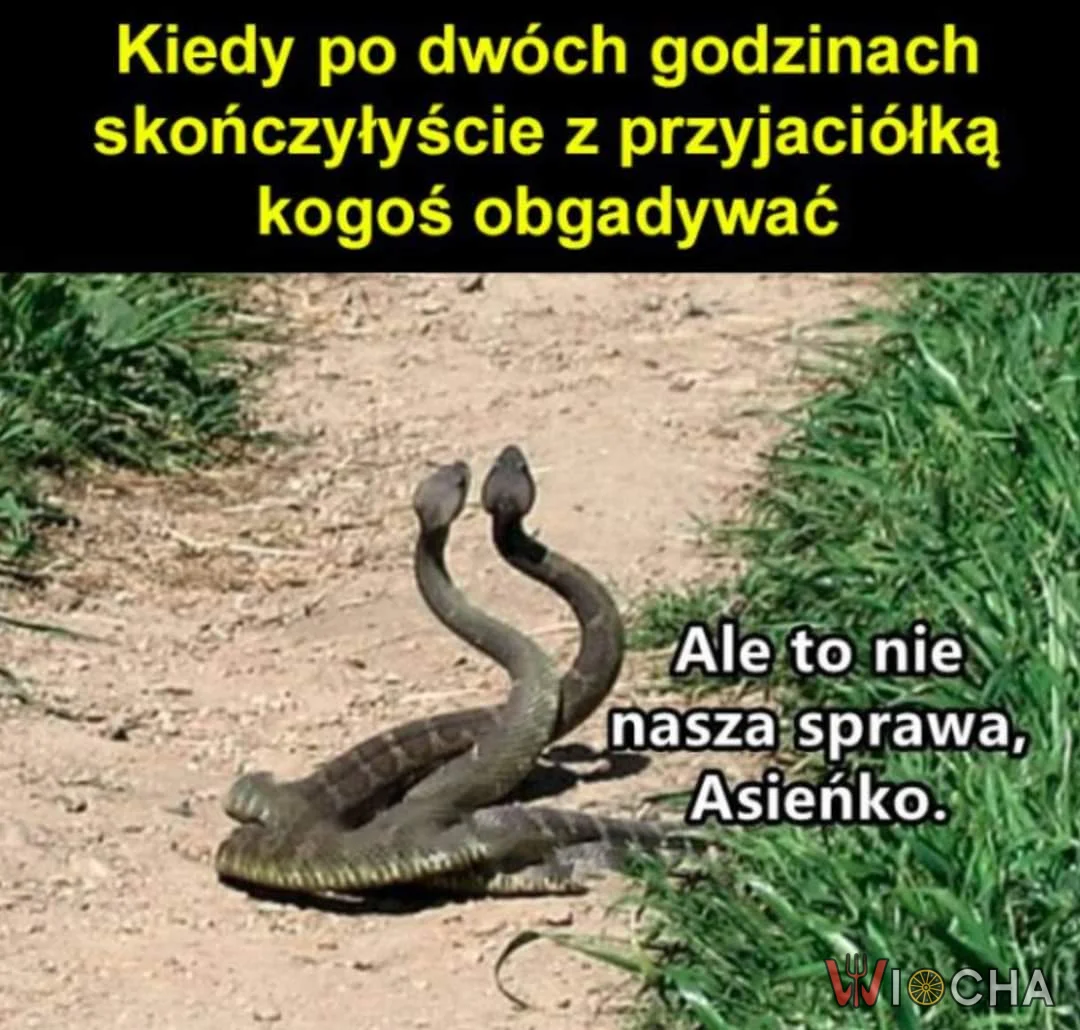 Obgadywanie z przyjaciółką