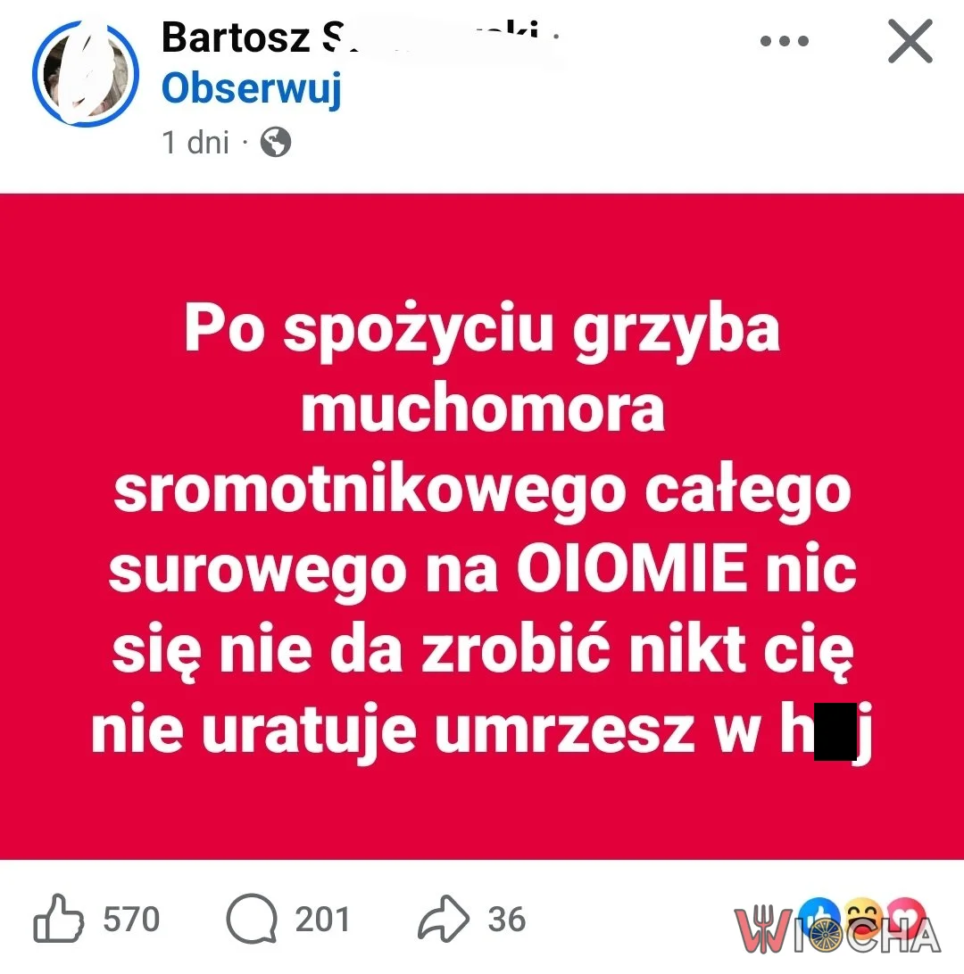 Z grzybami nie ma żartów, dobrze, że Bartek ostrzegł