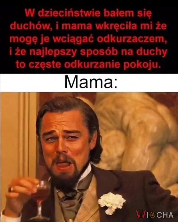 Duszki w odkurzaczu