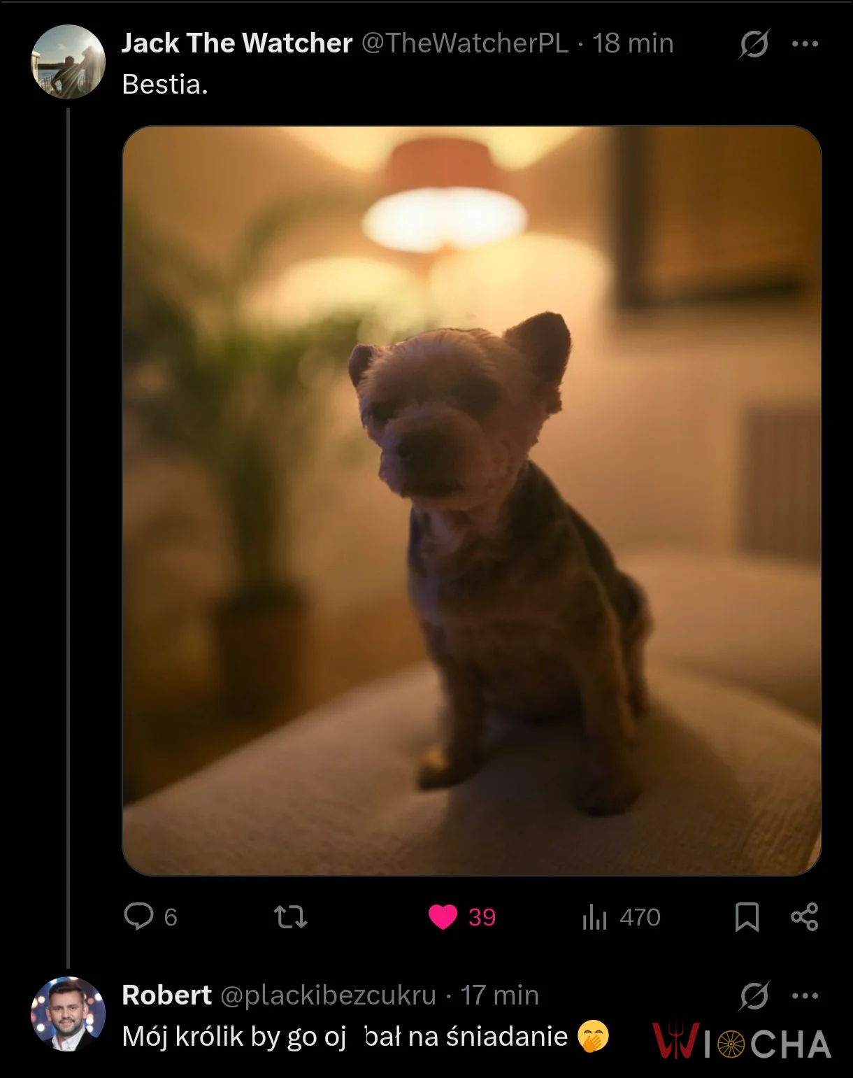 Niezła bestia