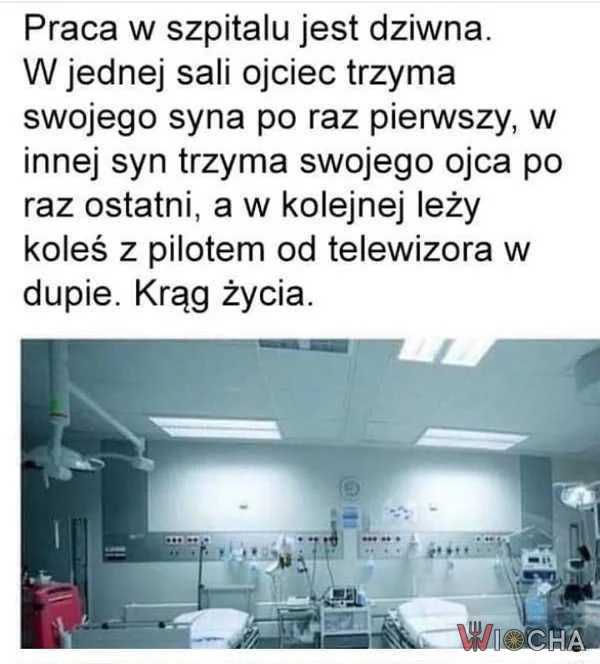 Szpitalny krąg życia