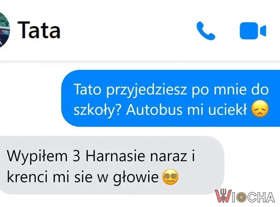 Wypiłem 3 Harnasie