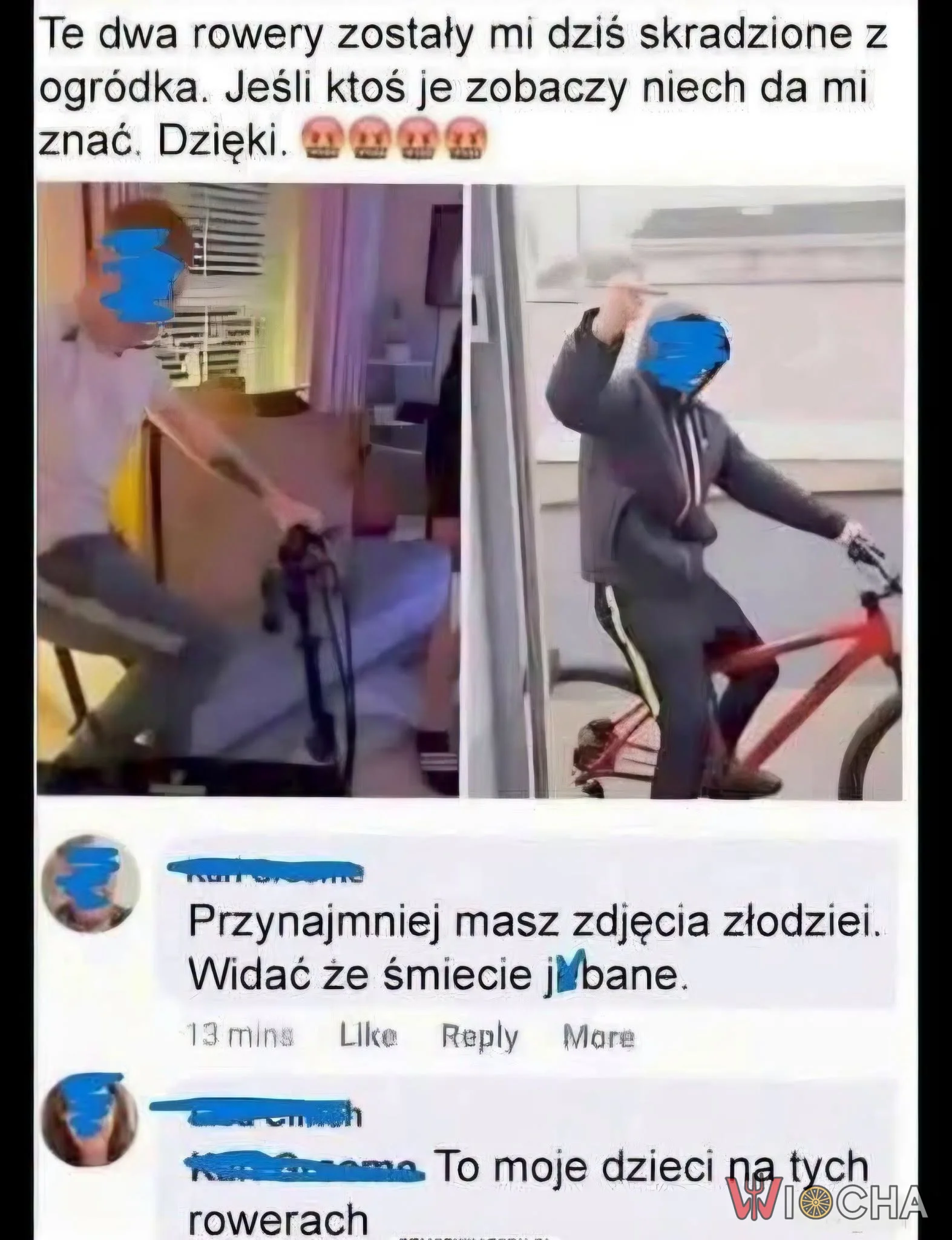 Rodzinna aktywność