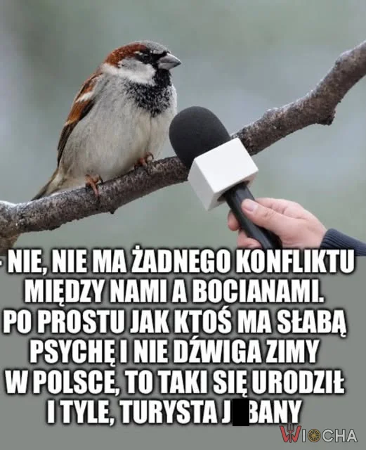 Turysta j**any